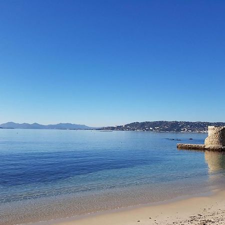 Appartement 2 Pieces, Renove, 2 Piscines+Tennis, Mer, Climatisation Antibes Exterior photo