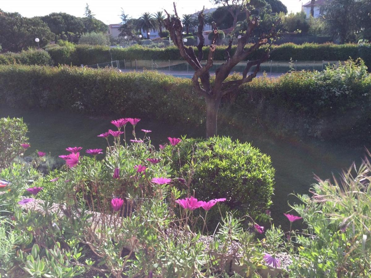 Appartement 2 Pieces, Renove, 2 Piscines+Tennis, Mer, Climatisation Antibes Exterior photo